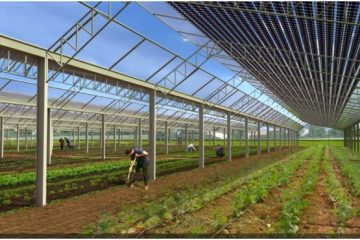 serre photovoltaique agricole
